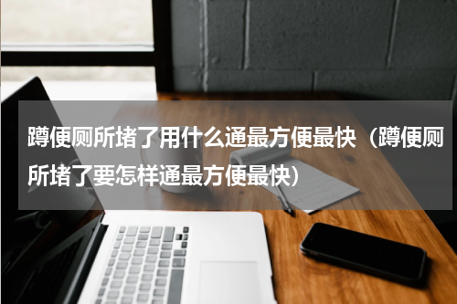 蹲便厕所堵了用什么通最方便最快（蹲便厕所堵了要怎样通最方便最快）