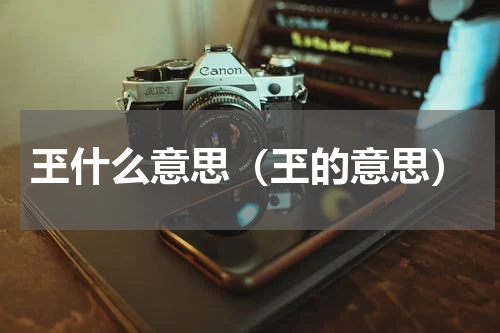 玊什么意思（玊的意思）