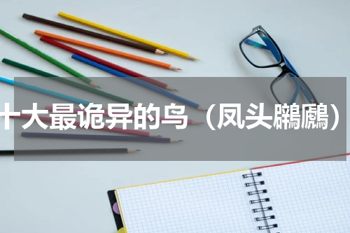 十大最诡异的鸟（凤头鸊鷉）