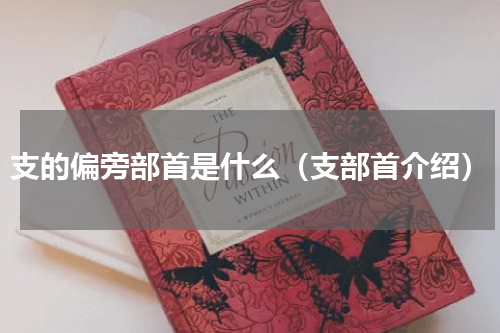 支的偏旁部首是什么（支部首介绍）