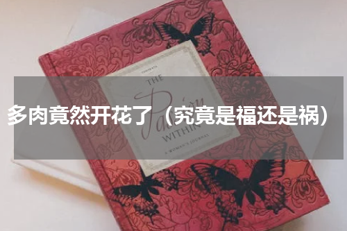 多肉竟然开花了（究竟是福还是祸）