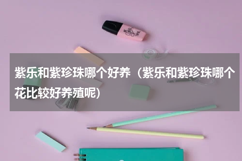 紫乐和紫珍珠哪个好养（紫乐和紫珍珠哪个花比较好养殖呢）