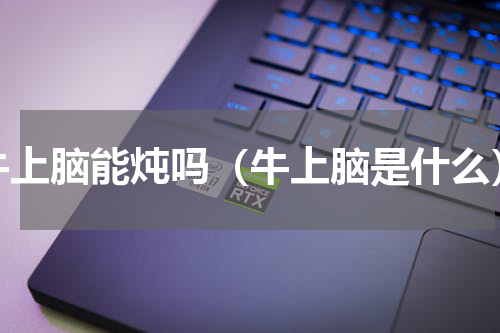 牛上脑能炖吗（牛上脑是什么）