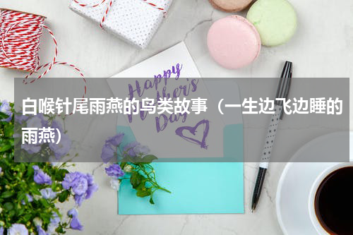 白喉针尾雨燕的鸟类故事（一生边飞边睡的雨燕）