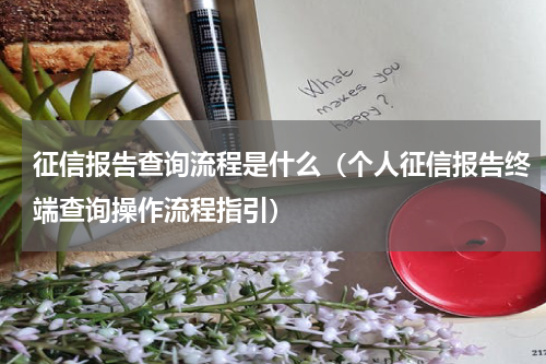 征信报告查询流程是什么（个人征信报告终端查询操作流程指引）