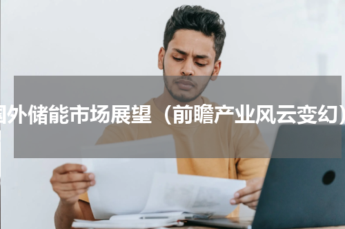 国外储能市场展望（前瞻产业风云变幻）