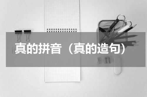 真的拼音（真的造句）