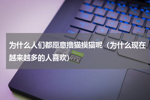 为什么人们都愿意撸猫摸猫呢（为什么现在越来越多的人喜欢）