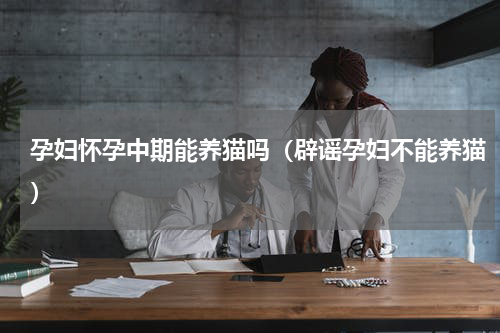 孕妇怀孕中期能养猫吗（辟谣孕妇不能养猫）