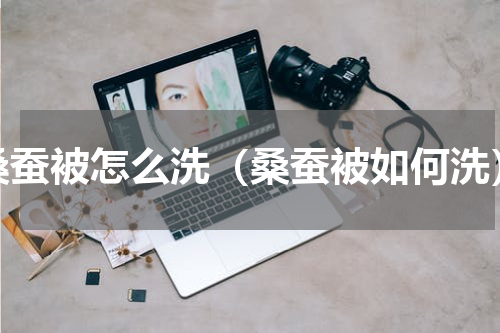 桑蚕被怎么洗（桑蚕被如何洗）