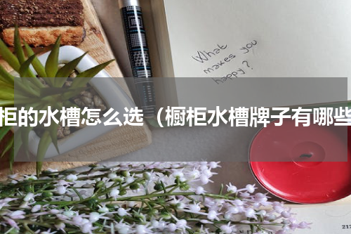 橱柜的水槽怎么选（橱柜水槽牌子有哪些）