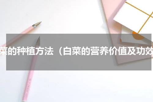 白菜的种植方法（白菜的营养价值及功效）