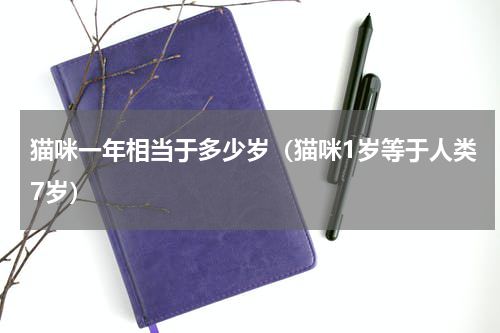 猫咪一年相当于多少岁（猫咪1岁等于人类7岁）