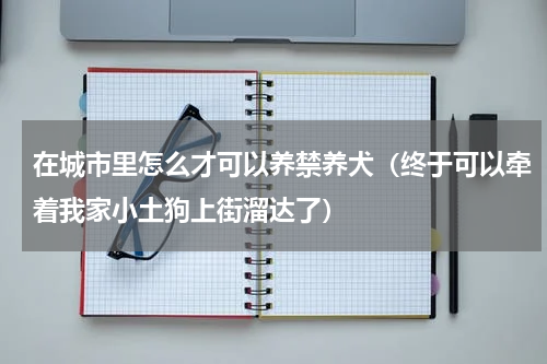 在城市里怎么才可以养禁养犬（终于可以牵着我家小土狗上街溜达了）