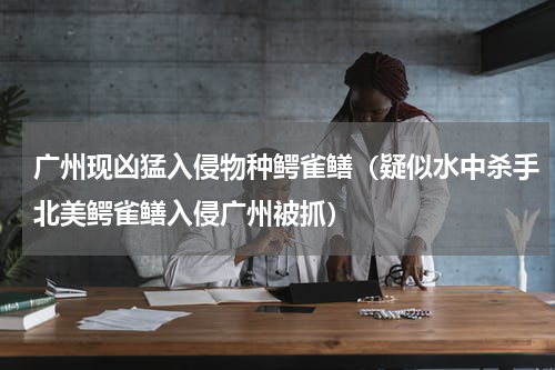 广州现凶猛入侵物种鳄雀鳝（疑似水中杀手北美鳄雀鳝入侵广州被抓）