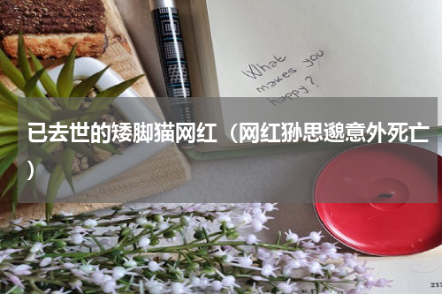 已去世的矮脚猫网红（网红狲思邈意外死亡）