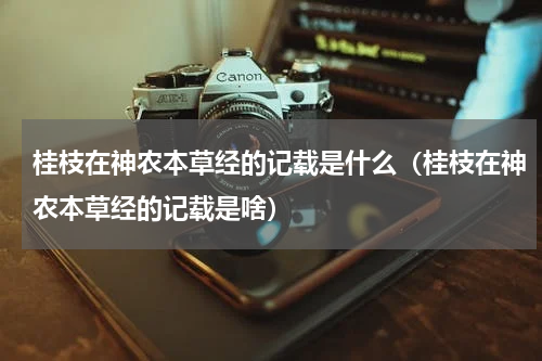 桂枝在神农本草经的记载是什么（桂枝在神农本草经的记载是啥）