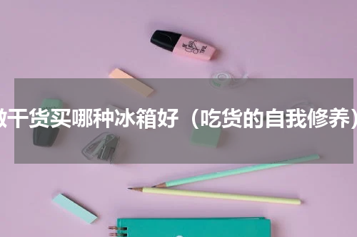 做干货买哪种冰箱好（吃货的自我修养）