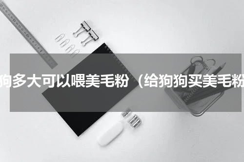 狗狗多大可以喂美毛粉（给狗狗买美毛粉）