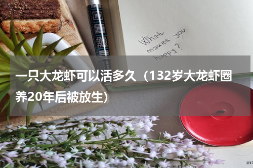 一只大龙虾可以活多久（132岁大龙虾圈养20年后被放生）