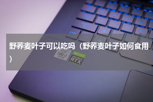 野荞麦叶子可以吃吗（野荞麦叶子如何食用）