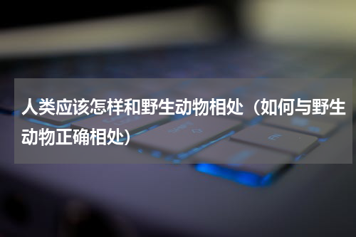 人类应该怎样和野生动物相处（如何与野生动物正确相处）