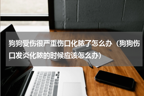 狗狗受伤很严重伤口化脓了怎么办（狗狗伤口发炎化脓的时候应该怎么办）