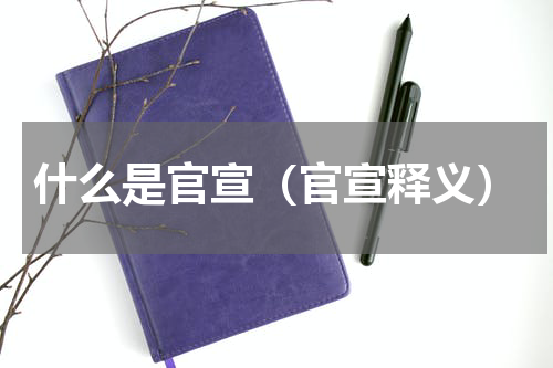 什么是官宣（官宣释义）