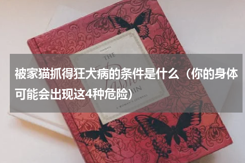 被家猫抓得狂犬病的条件是什么（你的身体可能会出现这4种危险）