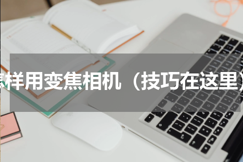 怎样用变焦相机（技巧在这里）