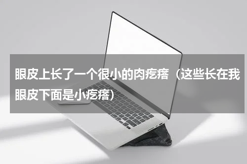 眼皮上长了一个很小的肉疙瘩（这些长在我眼皮下面是小疙瘩）