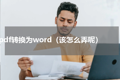 pdf转换为word（该怎么弄呢）