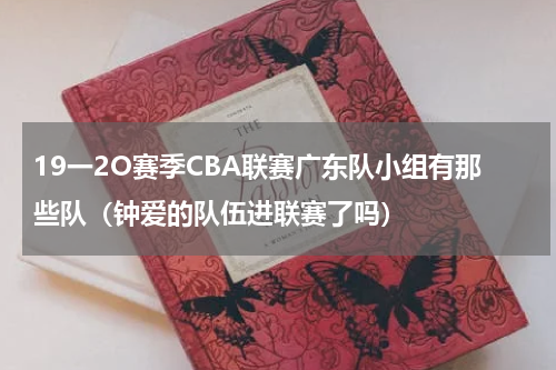 19一2O赛季CBA联赛广东队小组有那些队（钟爱的队伍进联赛了吗）