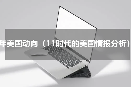 近年美国动向（11时代的美国情报分析）