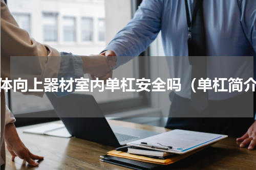 引体向上器材室内单杠安全吗（单杠简介）