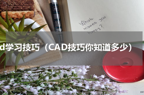 cad学习技巧（CAD技巧你知道多少）