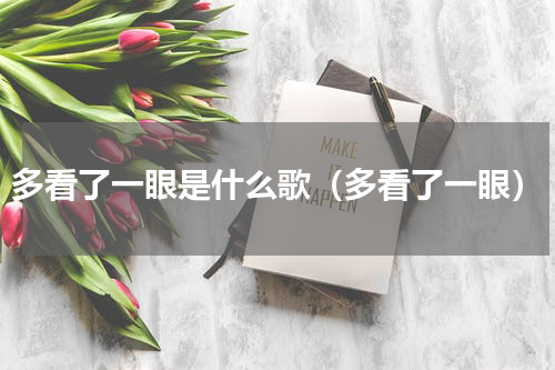 多看了一眼是什么歌（多看了一眼）