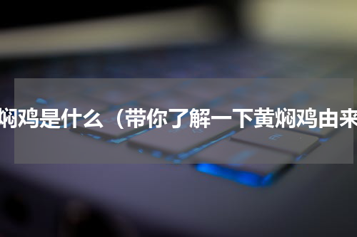 黄焖鸡是什么（带你了解一下黄焖鸡由来）