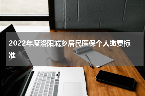 2022年度洛阳城乡居民医保个人缴费标准