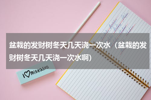 盆栽的发财树冬天几天浇一次水（盆栽的发财树冬天几天浇一次水啊）