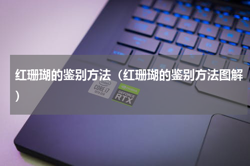 红珊瑚的鉴别方法（红珊瑚的鉴别方法图解）