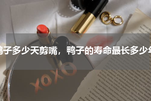 鸭子多少天剪嘴，鸭子的寿命最长多少年