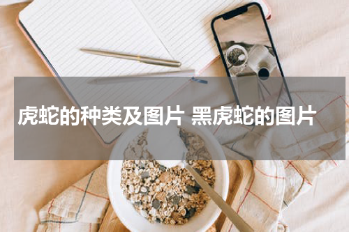 虎蛇的种类及图片 黑虎蛇的图片