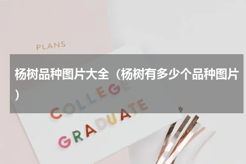 杨树品种图片大全（杨树有多少个品种图片）