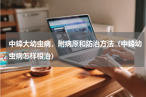 中蜂大幼虫病，附病原和防治方法（中蜂幼虫病怎样根治）