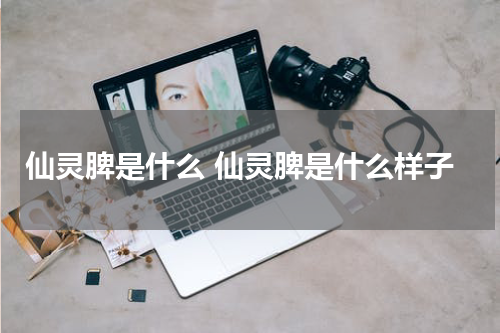 仙灵脾是什么 仙灵脾是什么样子
