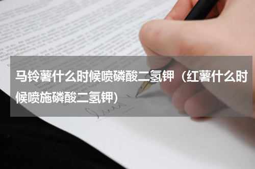 马铃薯什么时候喷磷酸二氢钾（红薯什么时候喷施磷酸二氢钾）