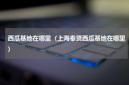西瓜基地在哪里（上海奉贤西瓜基地在哪里）