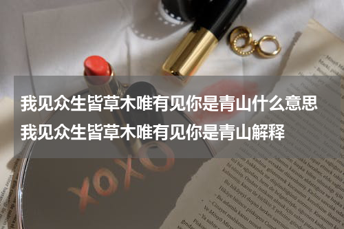 我见众生皆草木唯有见你是青山什么意思 我见众生皆草木唯有见你是青山解释