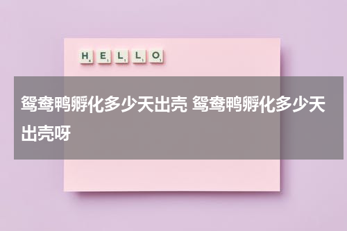 鸳鸯鸭孵化多少天出壳 鸳鸯鸭孵化多少天出壳呀